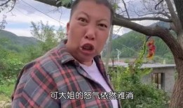 东北雨姐翠花爆料视频,揭秘幕后真相